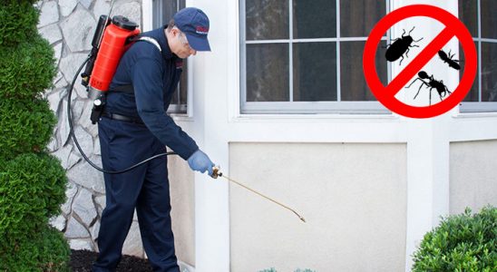 Çakmaklı Akrep İlaçlama böcek ilaçlama ve haşere kontrolü — ilaclama-tr.com